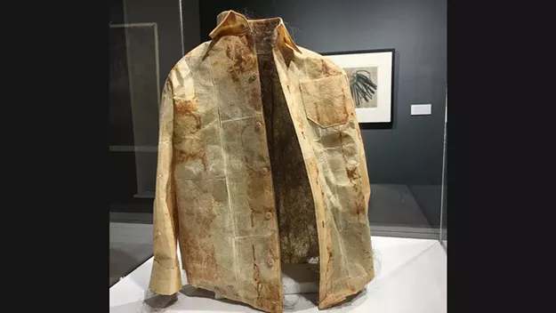 Art Review: 'Pivotal Moments: Select Works by Diane Gabriel,' BCA Center - Vimarsana News