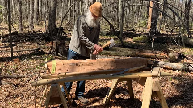 Stuck in Vermont: Tom Locatell Hews Fallen Trees at Gilbrook Nature Area in Winooski - Vimarsana News