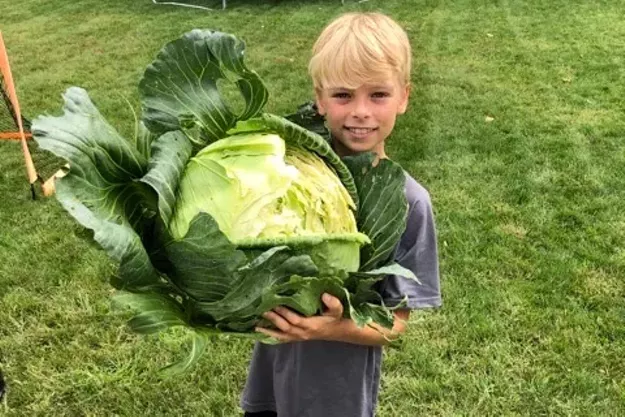 Enter to be Vermont's Next Cabbage Patch Kid - Vimarsana News