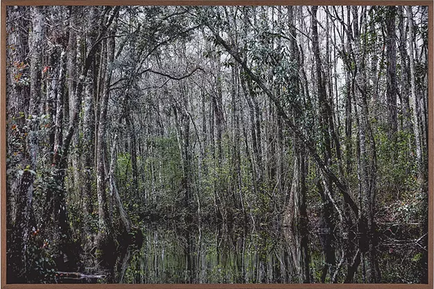 Photographer Catherine Opie Examines Distinctive American Landscapes - Vimarsana News