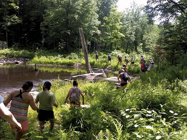 Good Nature: How to Be in the Woods - Vimarsana News