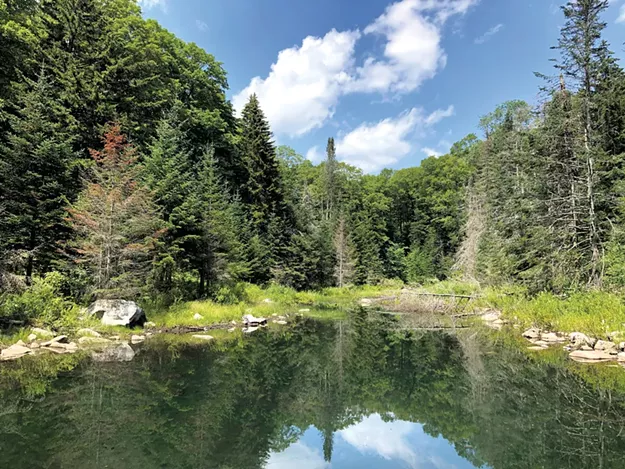 Short Stuff: Afterschool Nature Programs, Arcades and More - Vimarsana News