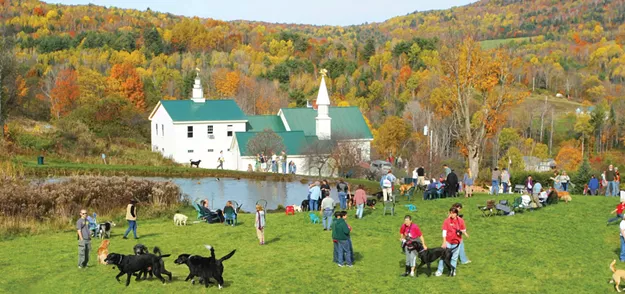 Fall Dog Party 2022 - Vimarsana News