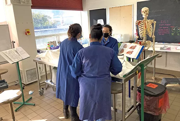 Med School Students Say Dissecting Donated Bodies Provides Lessons Beyond Anatomy - Vimarsana News