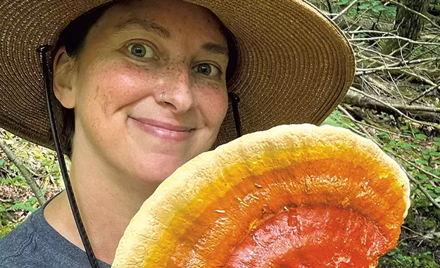 Meg Madden Champions the Hidden Roles and Art of Mushrooms - Vimarsana News