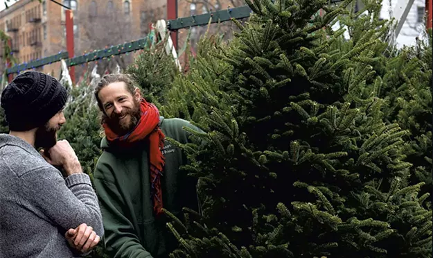 Vermont-Based Christmas Tree Seller Prepares for Its Monthlong Sprint in New York City - Vimarsana News