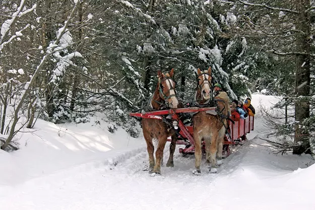 Save the Dates: Fun Stuff for Families This Winter - Vimarsana News