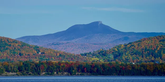 Group Sues to Block Camel's Hump Logging Plan - Vimarsana News