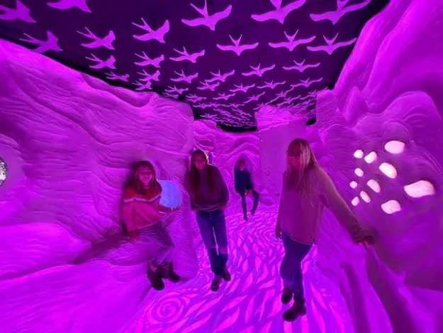 Bailing Out of Essex, Babaroosa Proposes an Immersive Art Exhibit in Burlington's Memorial Auditorium - Vimarsana News