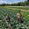 From left: Rob Rock and Eric Seitz, co-owners of Pitchfork Farm at the Intervale From left: Rob Rock and Eric Seitz, co-owners of Pitchfork Farm at the Intervale