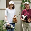 HEART Wildlife Removal Helps Homeowners With Humane Critter Control