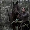 <b>ROAD TO NOWHERE</b> A young woman with nothing to lose seeks vengeance in Kent’s stunning real-life horror film. <b>ROAD TO NOWHERE</b> A young woman with nothing to lose seeks vengeance in Kent’s stunning real-life horror film.