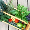Garden harvest Garden harvest