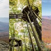 Outdoor Fall Adventures, From a Forest Canopy Walk to Foliage Lift Rides