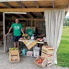 Todd Goodyear at the Paradise Fruit stand Todd Goodyear at the Paradise Fruit stand