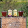 Local Shrubs, Sodas and Switchels for End-of-Summer Sipping