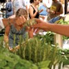 What Works, and Doesn't, About Farmers Markets?