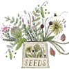 Three Specialized Vermont Seed Companies Offer the Means to Make Your Garden Grow