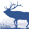 What the Elk? Cervids Escape From Derby Enclosure