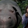 Movie Review: Netflix Goes Whole Hog With Social Satire 'Okja'