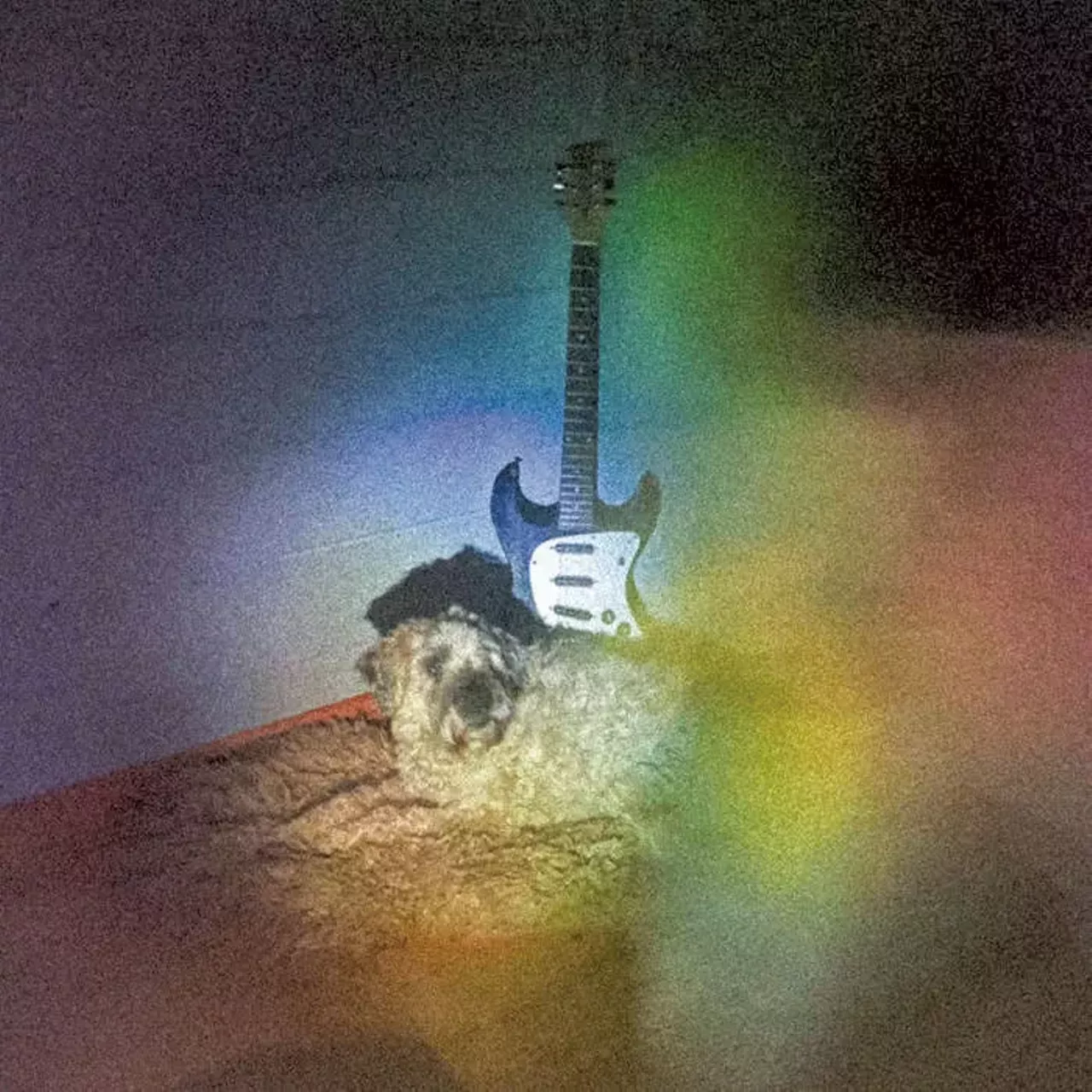 Clover Koval, 'Me and the Animals' | Album Review | Seven Days | Vermont's Independent Voice Clover Koval, 'Me and the Animals' | Album Review | Seven Days | Vermont's Independent Voice