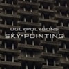 Ugly Polygons, <i> Sky-pointing</i>