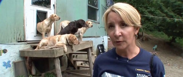 Video footage of the Bakersfield puppy mill seizure