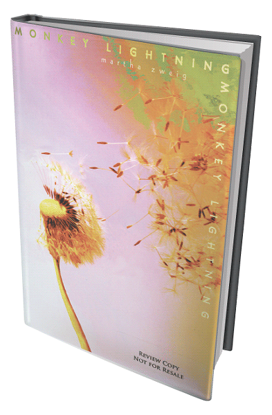 sota-book-monkey.png