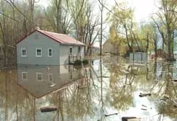 mayflood.jpg