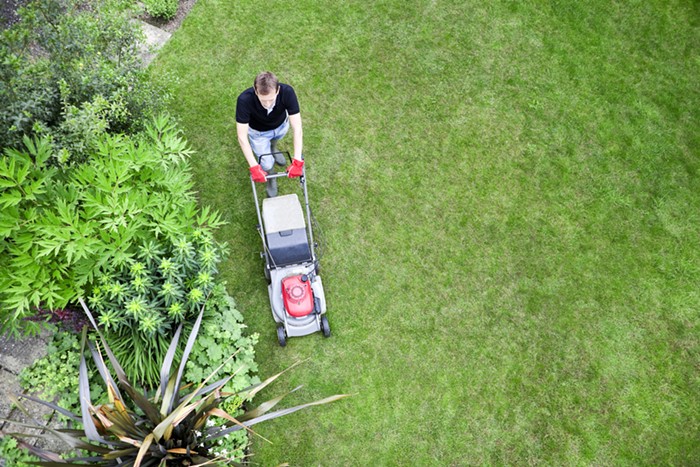 Cities can ban turf grass