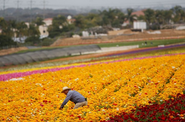 Immigrants are vital to the American economy.