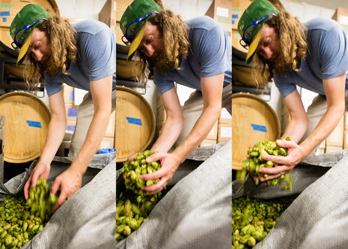 Steve Luke is Seattles hop whisperer. Steve Luke is Seattles hop whisperer.