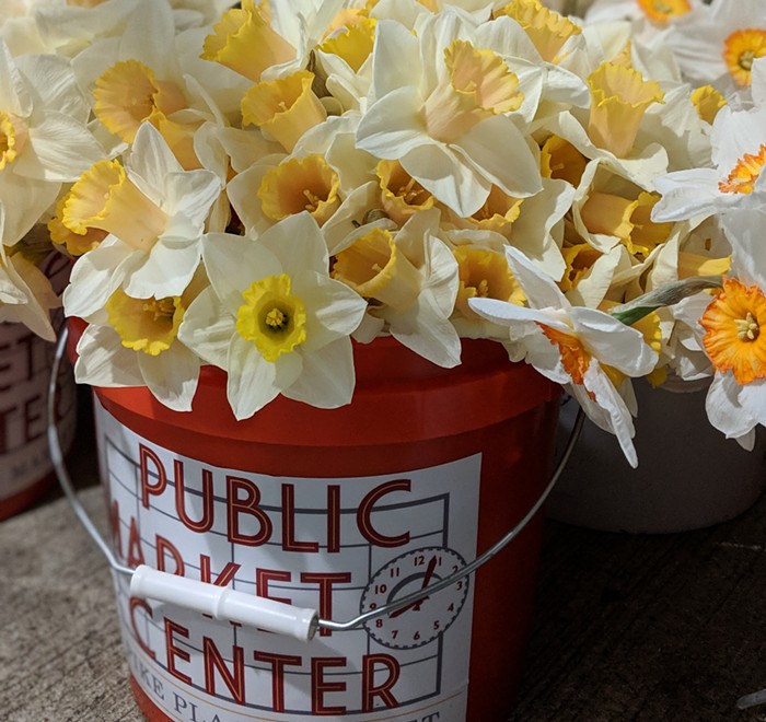 Stranger Suggests: 'Diary of A Country Priest,' Witch Ripper, Kkokio, Daffodil Day, 'Return to Seoul,' and Lia Kohl - Vimarsana News