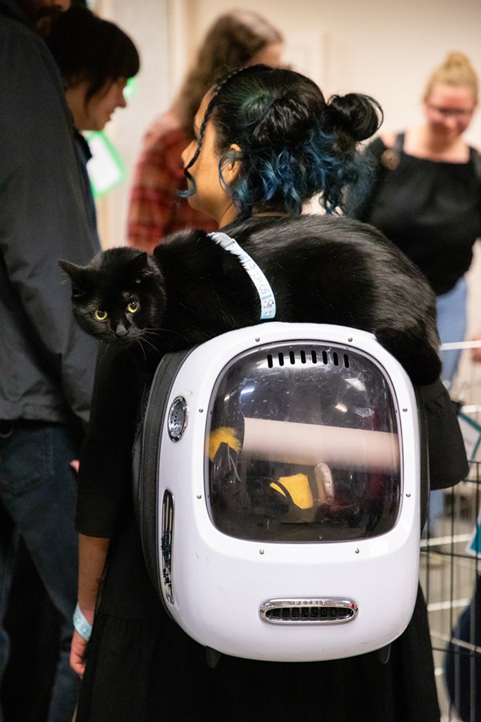Cease Doom-Scrolling and Have a look at These Photographs from Seattle’s Largest Cat Conference 5 img 0090