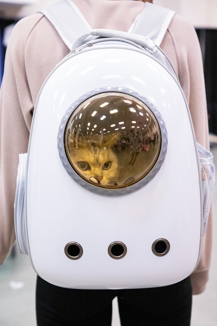 Cease Doom-Scrolling and Have a look at These Photographs from Seattle’s Largest Cat Conference 1 img 0120
