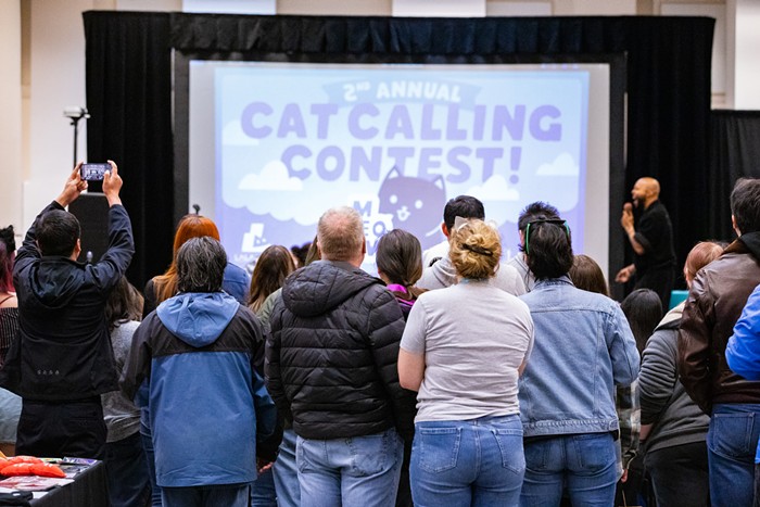 Cease Doom-Scrolling and Have a look at These Photographs from Seattle’s Largest Cat Conference 8 img 0165