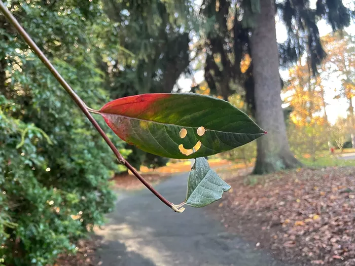 Slog AM: Katie Wilson’s Transition Team, SIFF Executive Director Out, Trump and Mamdani Meet at White House Tomorrow