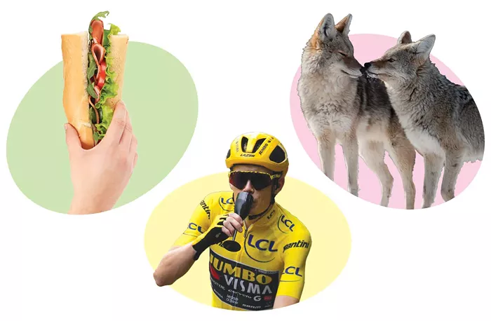 Last Month This Month