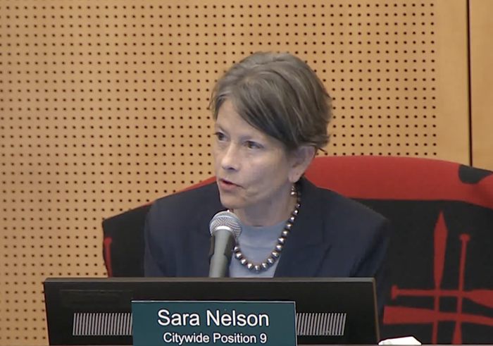 Sara Nelson’s New Political Consultant Regulations Have No Teeth
