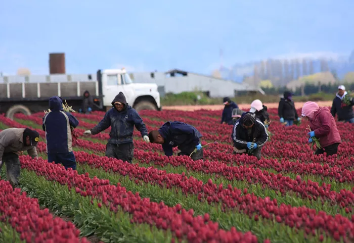 State Bills Bring Farmworkers to the Table