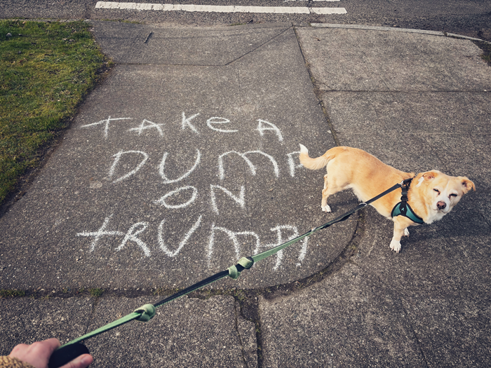 Slog AM: A Tacoma Children's Hospital Is Closing Their Gender Clinic, Amazon Is Closing Their Grocery Stores, and the Department of Homeland Security Will Investigate Their Own Shooting 