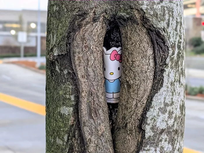 Slog AM: Iran Pulls Out of the World Cup, the Millionaires Tax Passes the House, and There’s Wild Weather on the Horizon