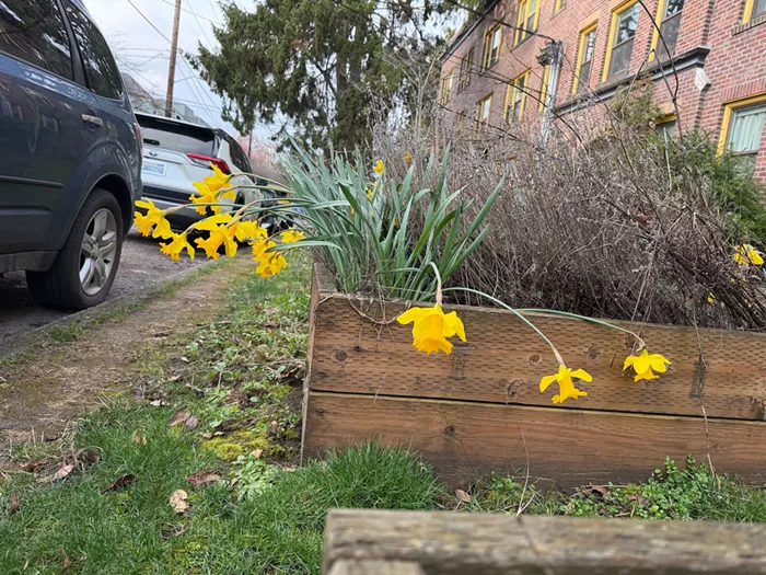 Slog AM: Senate Gives Its Final OK to Millionaires’ Tax, High Winds in Washington, A Kristi Noem Ad Campaign Cost More Than ‘Marty Supreme’