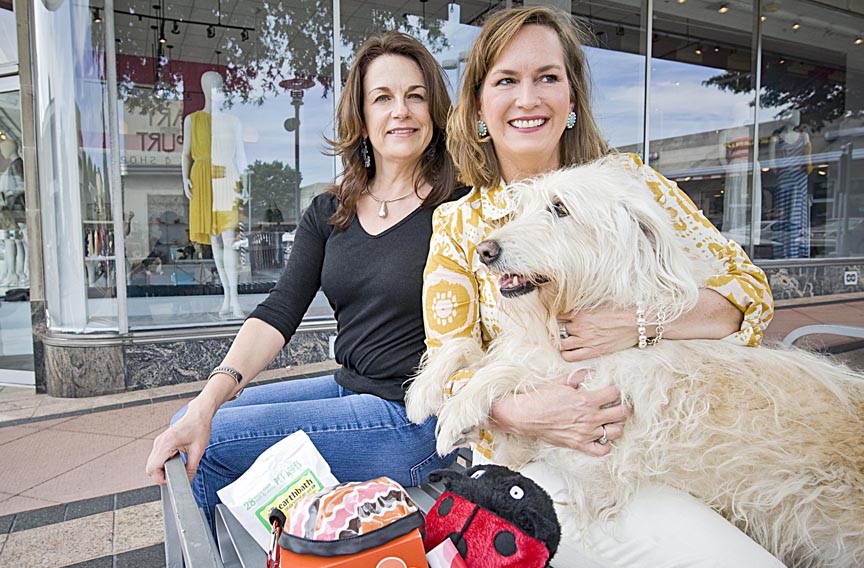 Ann Glenn and Beth Halloran say their dogs, including Hallie, helped inspire their idea for Wag-in-a-Box.