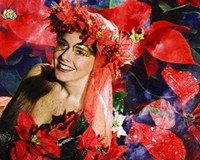 “The Legend of the Poinsettia” at the Cultural Arts Center at Glen Allen