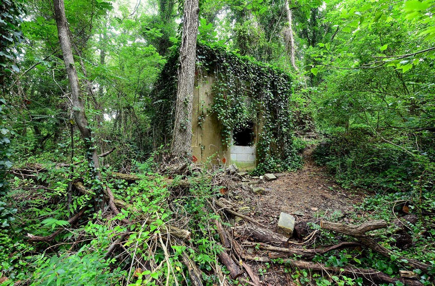 The Braxton family mausoleum, obscured by tangled overgrowth like most grave sites in Evergreen Cemetery, also has been defiled by vandals. - SCOTT ELMQUIST
