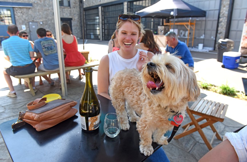 Most dog-friendly patio 2018 | Food and Drink
