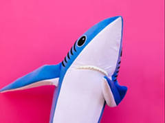 A dancing shark on a pink background. - Uploaded by Science Museum of Virginia