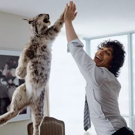 high-five.jpg