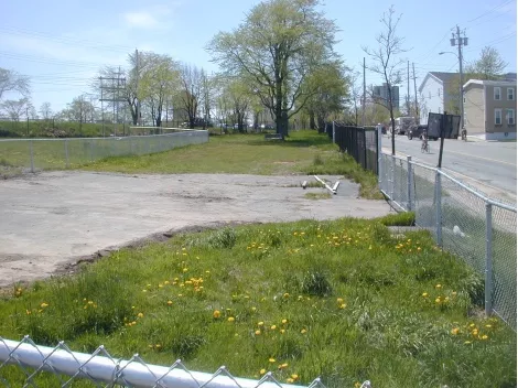 dog_park.jpg